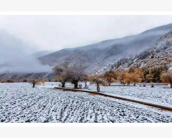 山东省初级会计考试时间节点全掌握